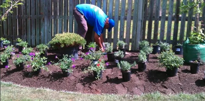 Tree Planting